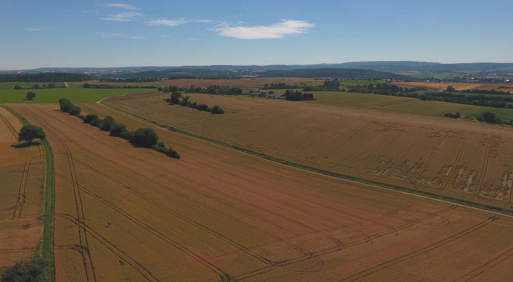 Agrar-Drohnen Eppingen